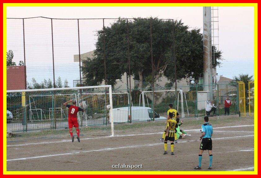 181111 Cepha_Milazzo 264_tn.JPG